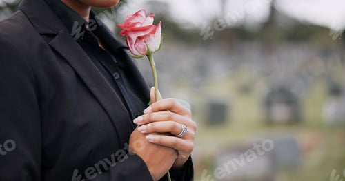 Preview: Funeral, cemetery and person with rose sad for remembrance, burial ceremony and memorial service. D