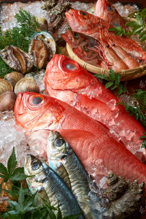 Preview: Assorted edible Japanese seafood