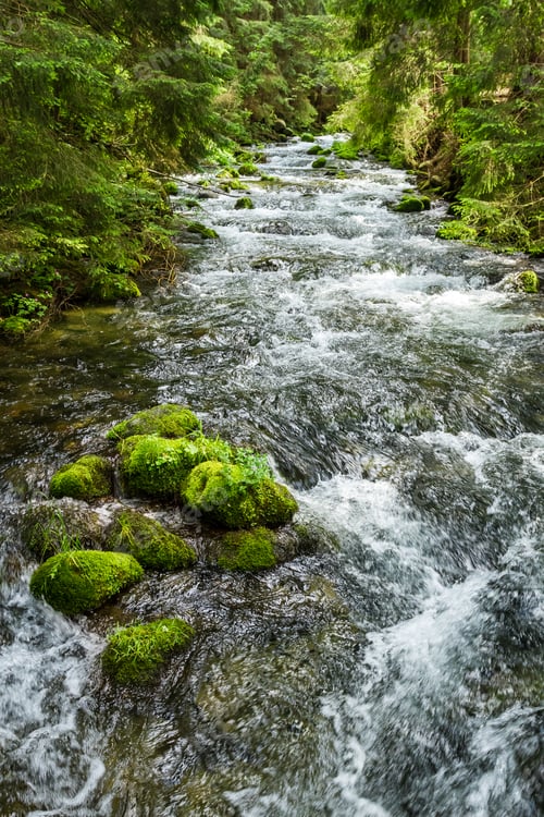 Preview: Rushing mountain stream in the forest