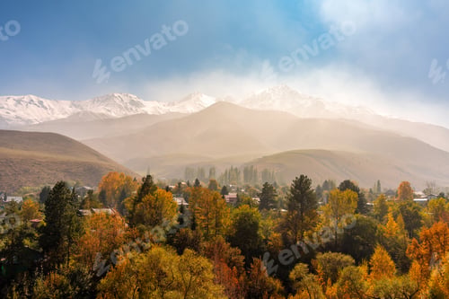 Preview: Golden autumn trees surrounding village with dramatic snowy mountain range in Ala Archa