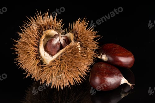 Preview: Chestnuts on a black reflective background