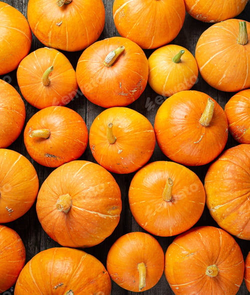 Preview: Autumn background for text with pumpkins. Top view. Copy space