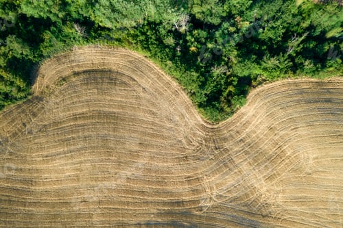 Preview: Aerial view of the shape of the fields Tuscany Italy