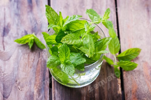 Preview: Green fresh mint on the wooden table