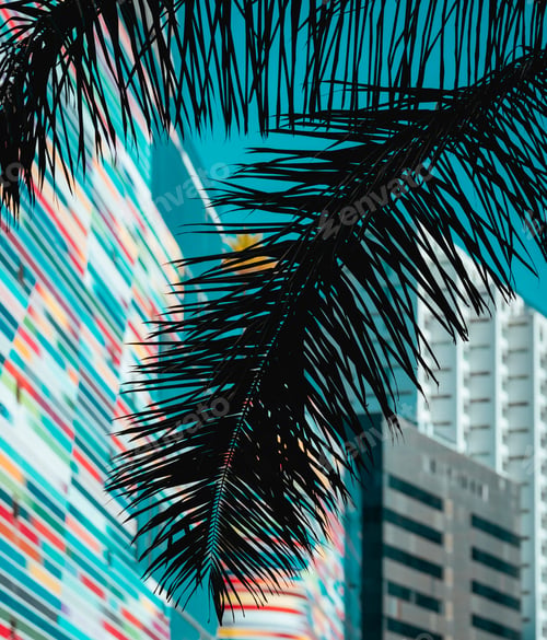 Preview: palm tree branches frame colorful striped building in the distance with skyscrapers in background