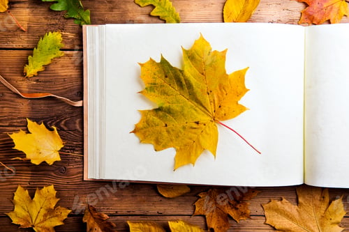 Preview: Autumn leaf composition.