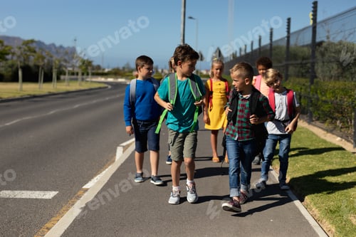 Preview: Group of elementary school pupils walking along a road