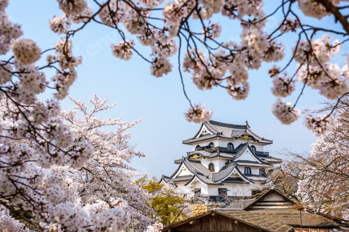 Preview: HIkone Castle