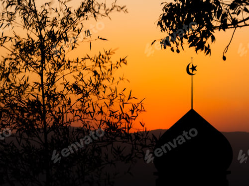 Preview: Mosques Dome on Sunset Twilight Sky with Shadow Leaves Background