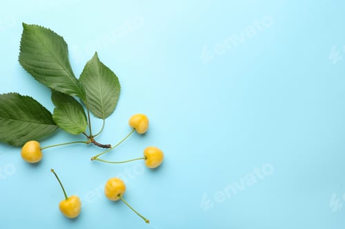 Preview: Ripe yellow cherries with green leaves on turquoise background, flat lay. Space for text