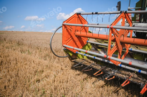 Preview: Combine harvester harvests ripe wheat. agriculture