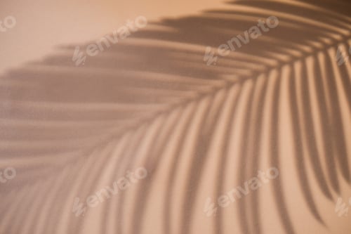 Preview: Shadow of palm leaf on natural earthy colors background. Creative drawing of light and shadow