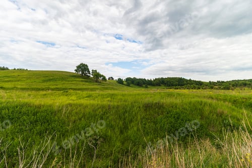 Preview: Summer landscape