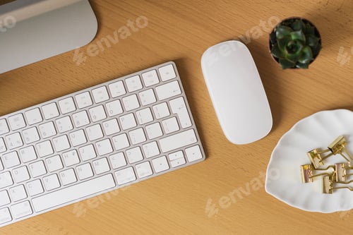 Preview: Keyboard, computer mouse, stationery clips and succulent on the desktop. Flat lay. Workplace