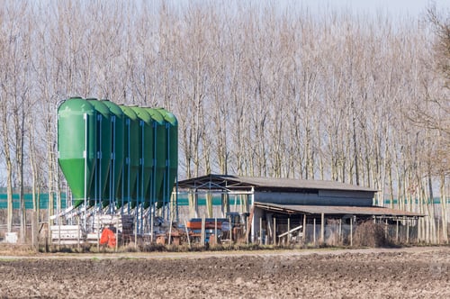 Preview: farm silos for fish farming