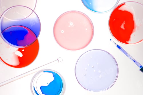 Preview: Science background experiment wallpaper, petri dishes flat lay