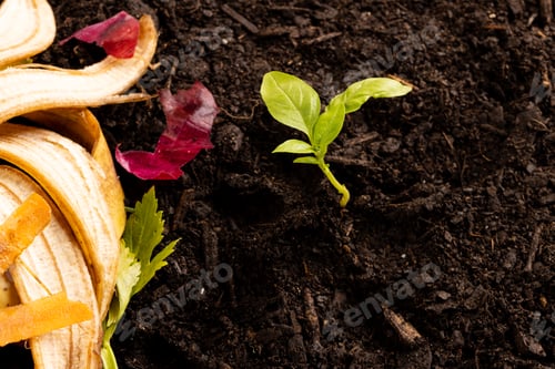 Preview: Organic fruit and vegetable waste for composting and seedling in dark soil, with copy space
