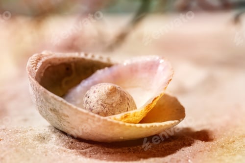 Preview: Summer sand sea beach with waves and seashell