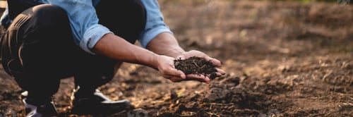 Preview: Smart farmer holding soil in his hands to examining quality of s