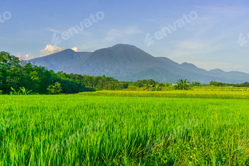 Preview: beautiful morning view from Indonesia of mountains and tropical forest