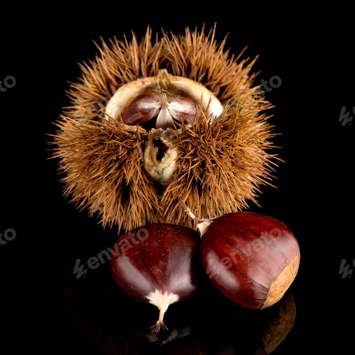 Preview: Chestnuts on a black reflective background