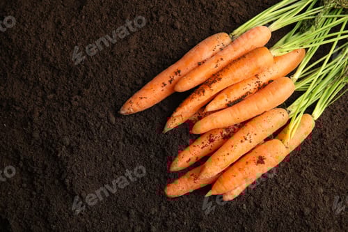 Preview: Ripe carrots on soil, top view. Healthy diet