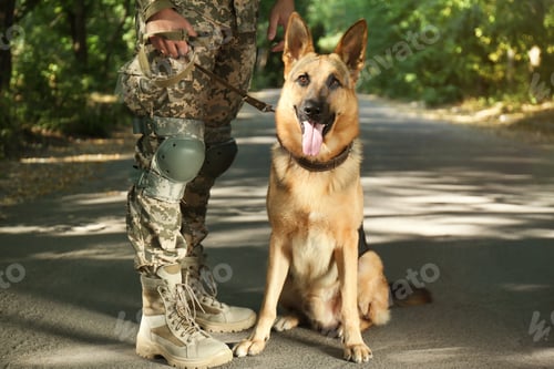 Preview: Man in military uniform with German shepherd dog outdoors, closeup view