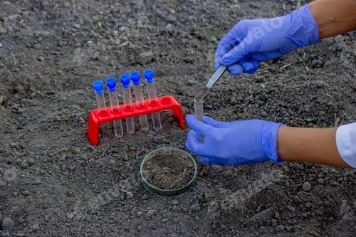 Preview: A scientist takes soil into a test tube for analysis. Selective focus.