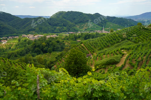 Preview: Vineyards along the Road of Prosecco e Conegliano Wines