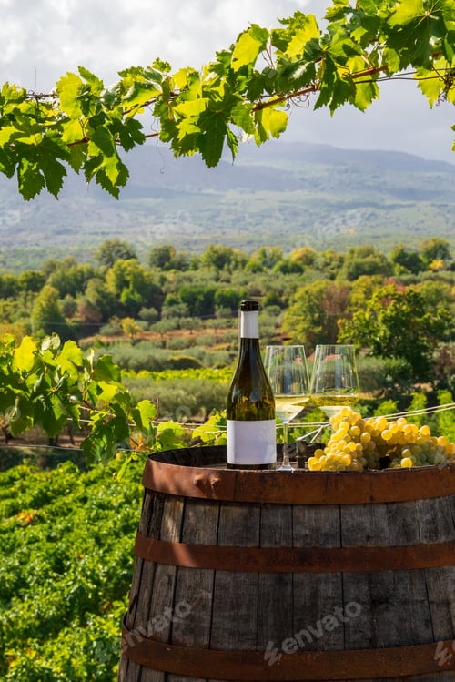 Preview: White wine bottle, glasses and grapes on barrel in scenic vineyard: winery landscape tasting