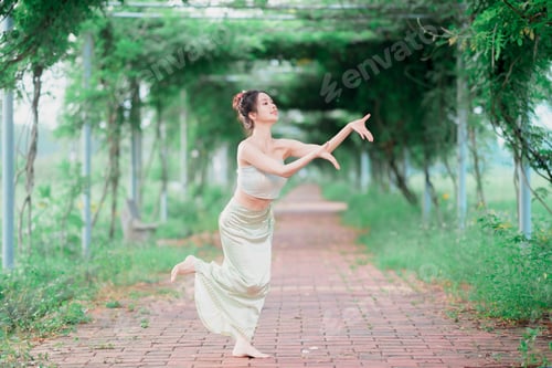 Preview: chinese dancing