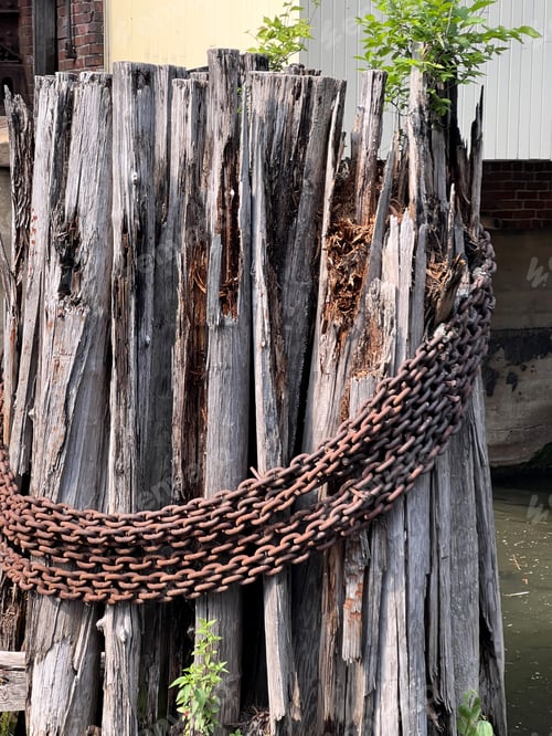 Preview: rusted chain hung around a wooden pier
