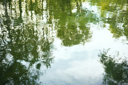 Vorschau: Oberfläche des Wassers