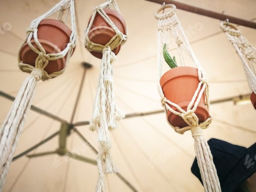 Preview: macrame with hanging plants