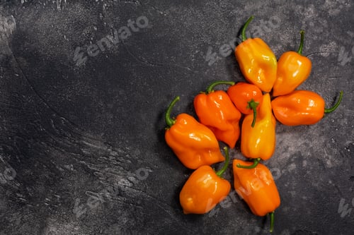 Preview: Orange Habanero peppers atop dark concrete backdrop, top view, copy space. Capsicum chinense fruits