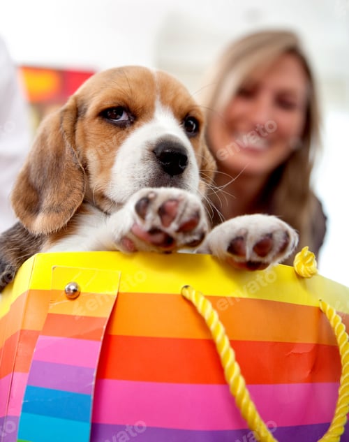 Preview: Woman With A Puppy In A Shopping Bag