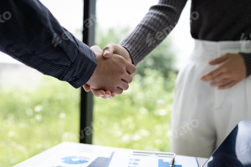 Preview: Handshake, Business partners working together in the office colleagues.