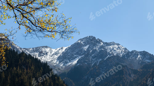 Preview: Majestic snow-covered mountain peaks against lush green forest in Sichuan Province, China
