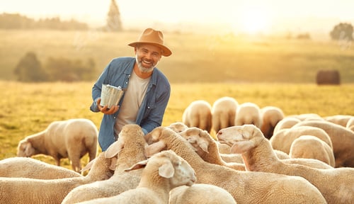 Preview: Mature couple working on the farm