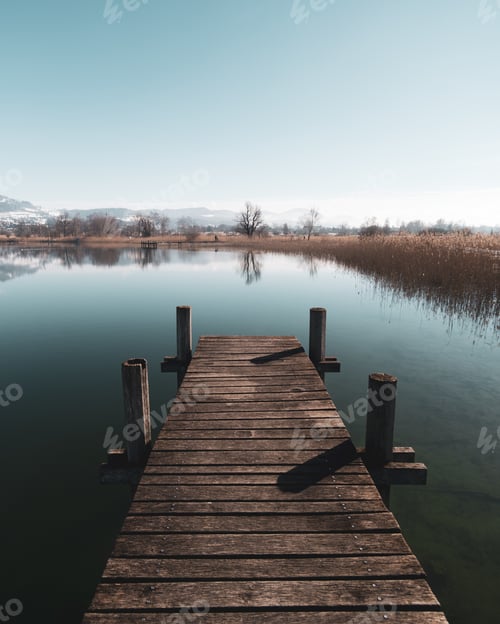 Preview: Vertical shot of a wooden pier on a pond with the reflection of the plants in the water