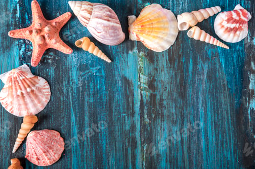 Preview: Seashell and star fish frame on rustic wooden texture background