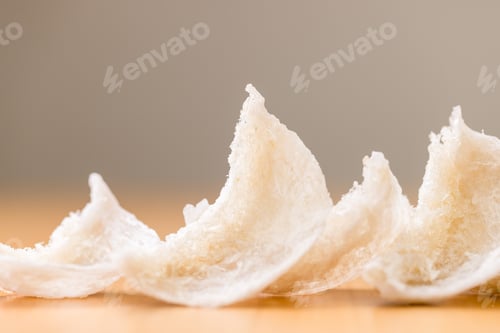 Visualização: Ninho de pássaro seco de perto