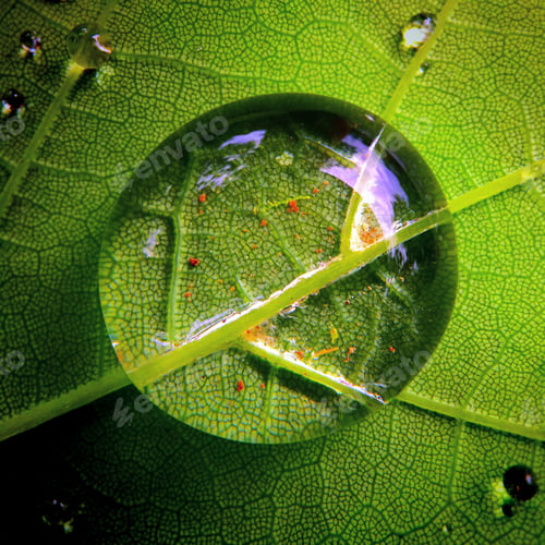 Preview: Macro of raindrop on leaf