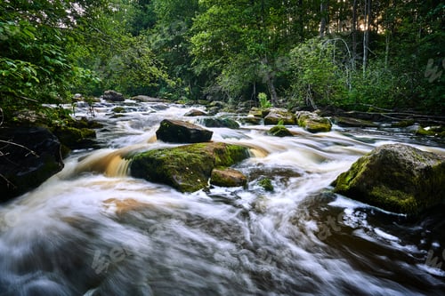 Preview: Scenic ivew of a river flowing through a lush forest with trees and rocks