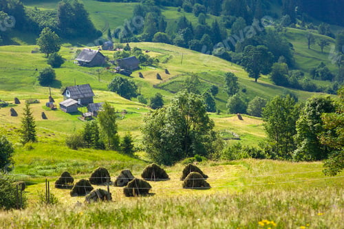 Preview: Village houses on hills with green meadows in summer day
