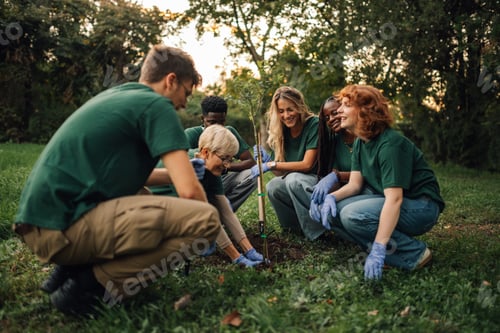 Preview: Group of volunteers planting new tree in park