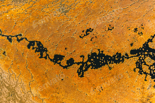 Preview: Miory District, Vitebsk Region, Belarus. The Yelnya Swamp. Upland And Transitional Bogs With