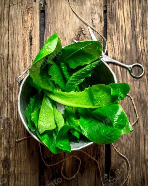 Preview: Fresh herbs in an old pot.