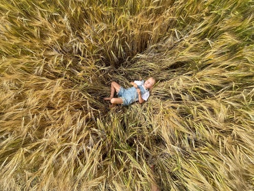 Preview: A little girl is lying alone in a rye field, among ears