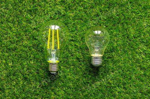 Preview: Energy efficient light bulb lying on grass